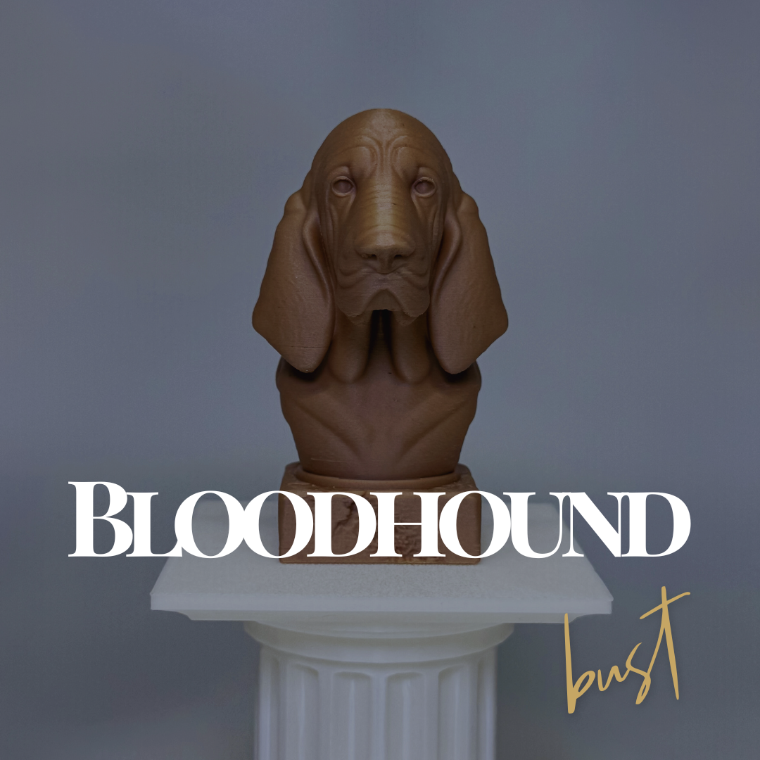 Bloodhound Bust