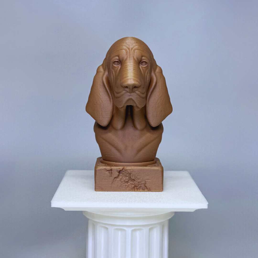 Bloodhound Bust