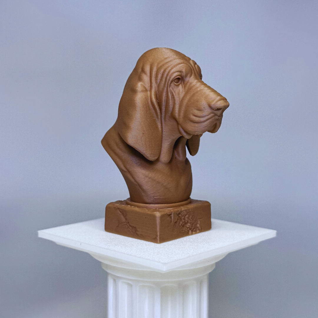 Bloodhound Bust