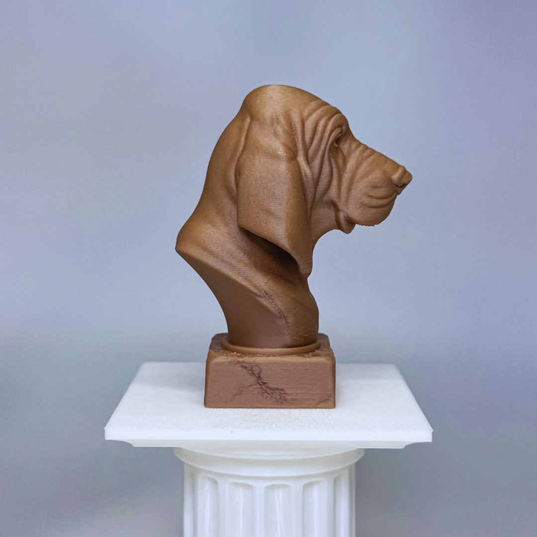 Bloodhound Bust