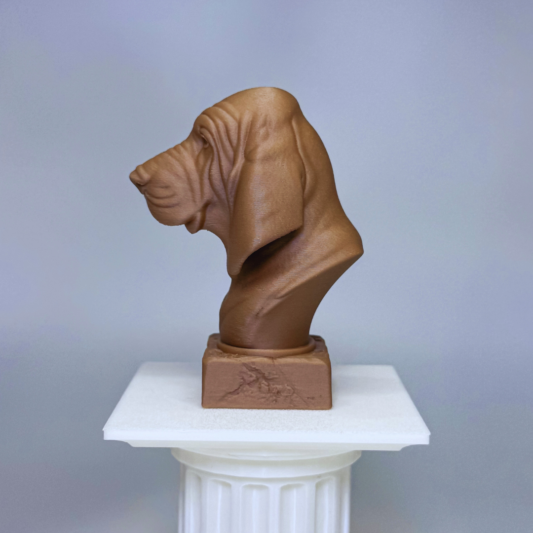 Bloodhound Bust