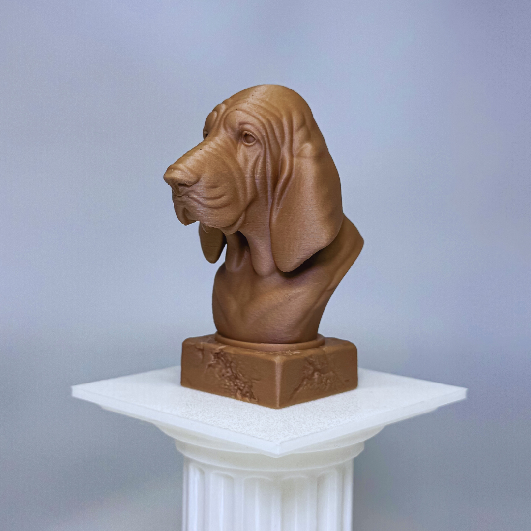 Bloodhound Bust
