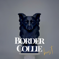 Border Collie Bust