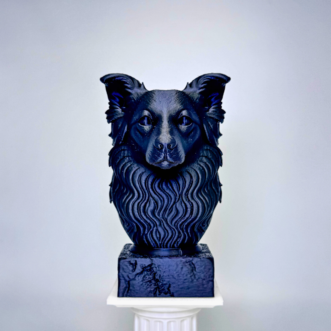 Border Collie Bust