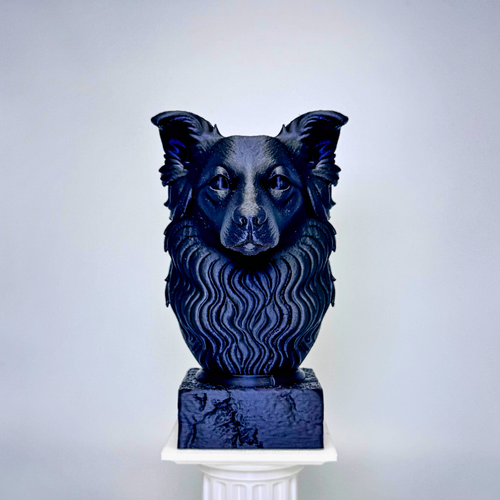 Border Collie Bust