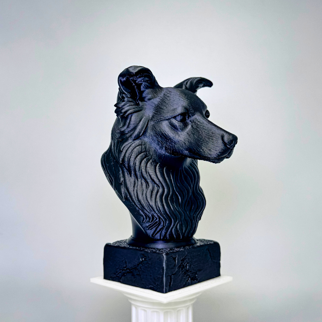 Border Collie Bust