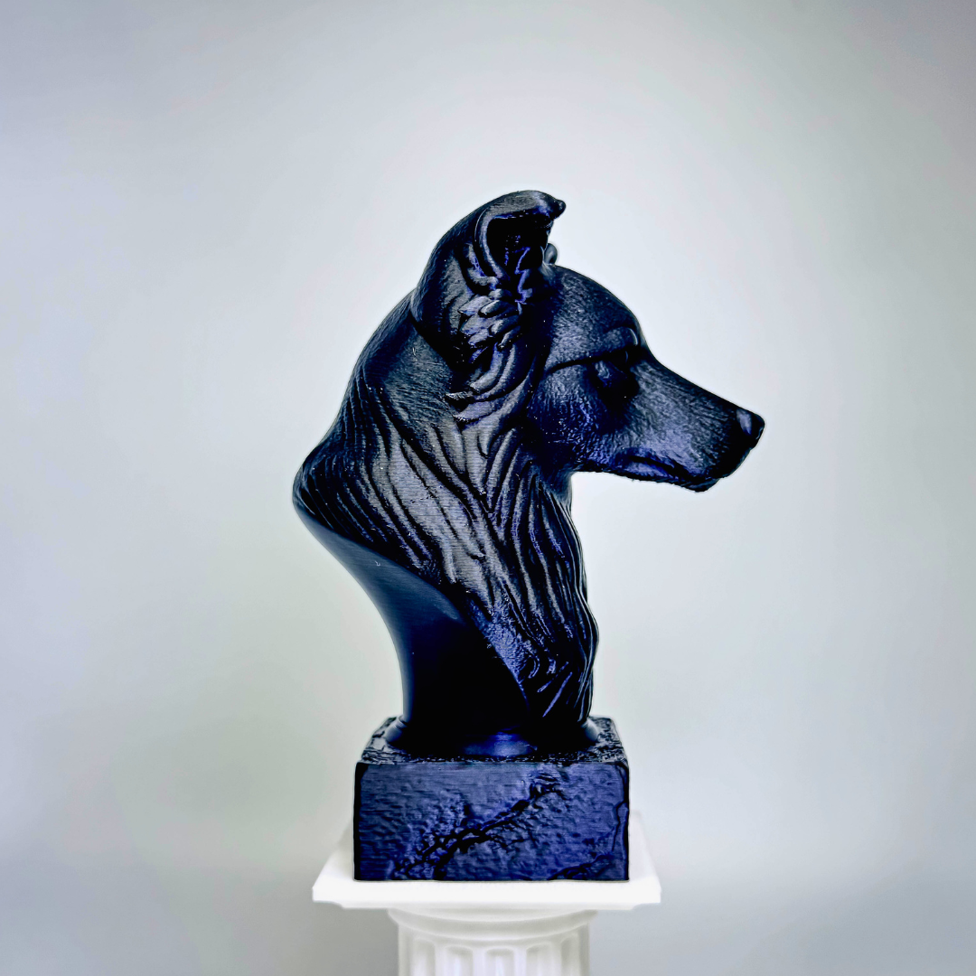 Border Collie Bust