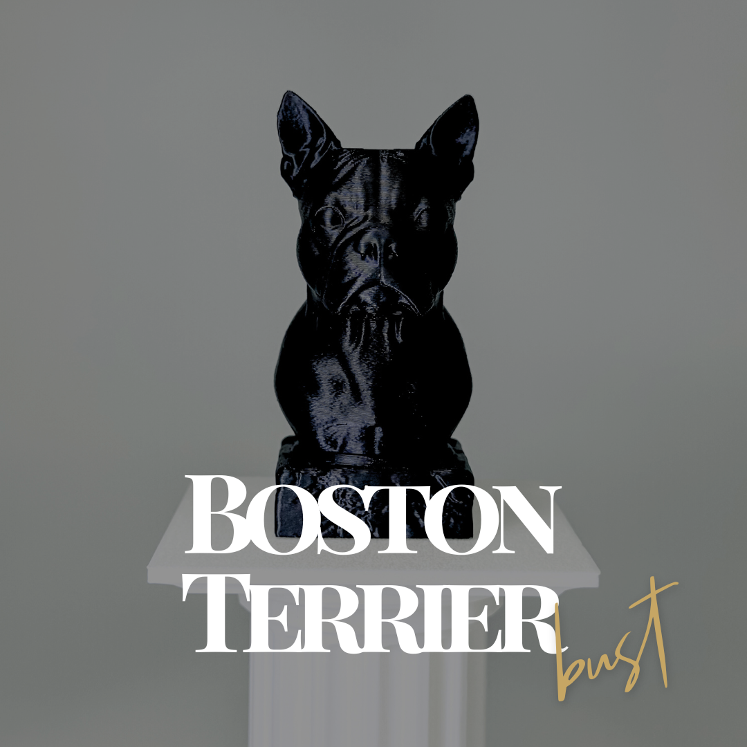 Boston Terrier Bust