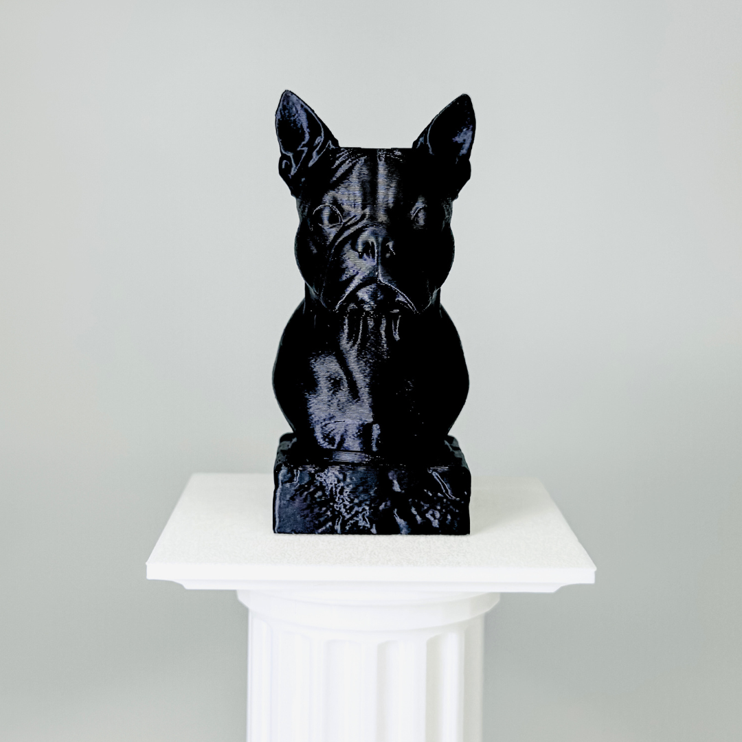 Boston Terrier Bust