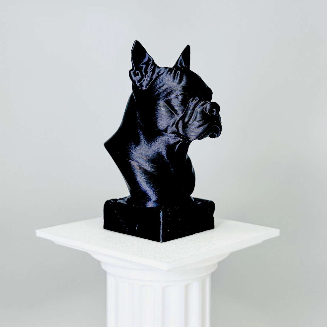 Boston Terrier Bust