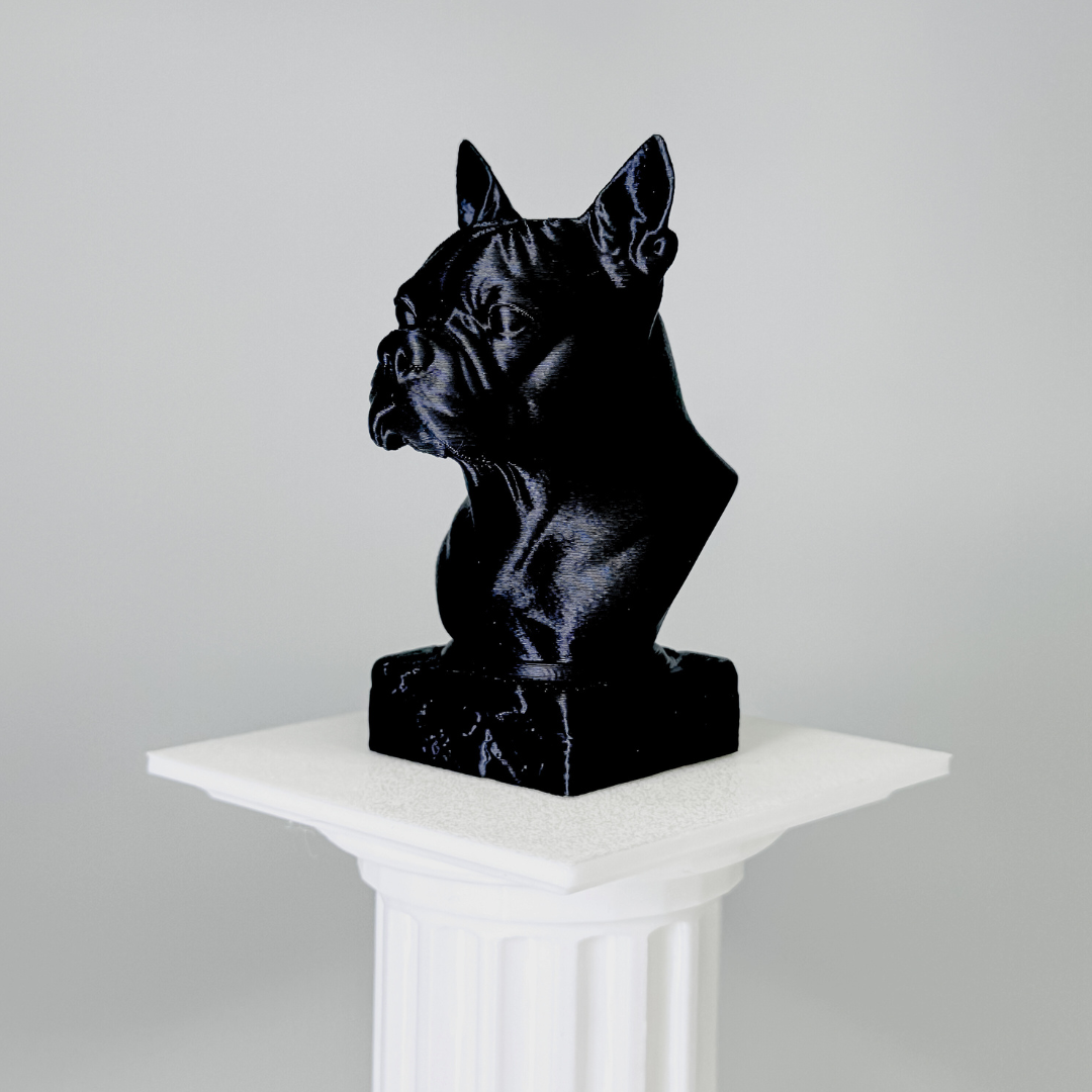 Boston Terrier Bust