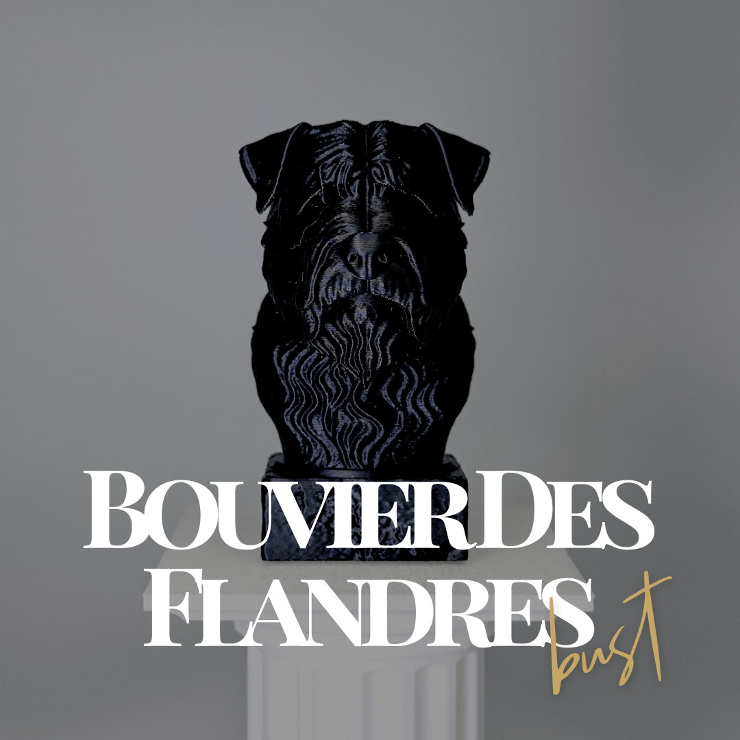 Bouvier Des Flandres Bust Dog