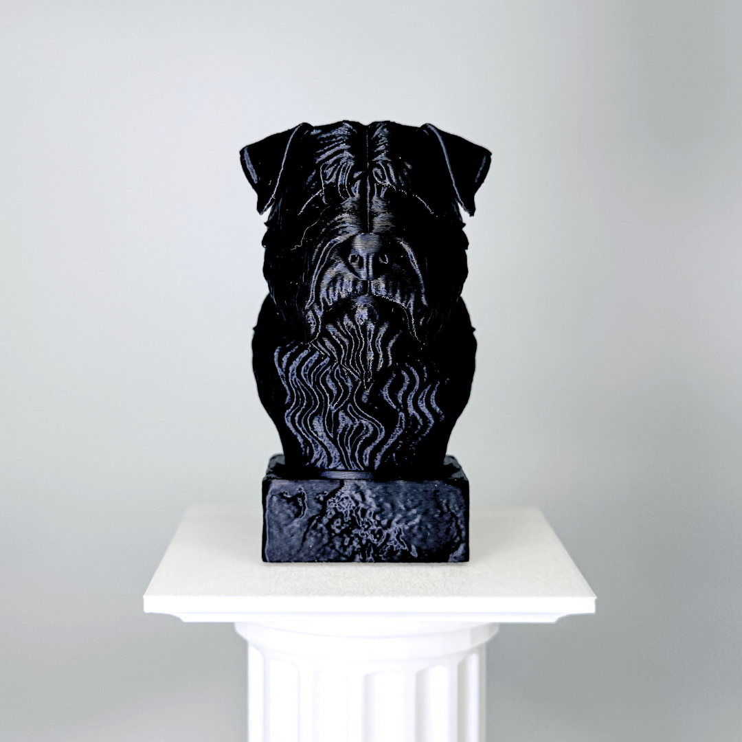 Bouvier Des Flandres Bust Dog