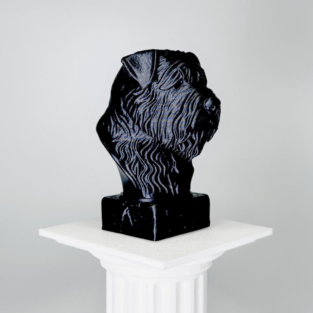 Bouvier Des Flandres Bust Dog
