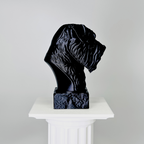 Bouvier Des Flandres Bust Dog