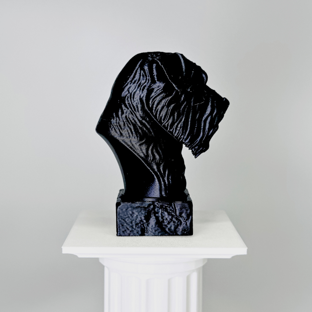 Bouvier Des Flandres Bust Dog