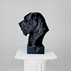 Bouvier Des Flandres Bust Dog