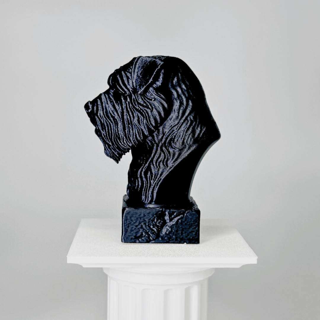 Bouvier Des Flandres Bust Dog