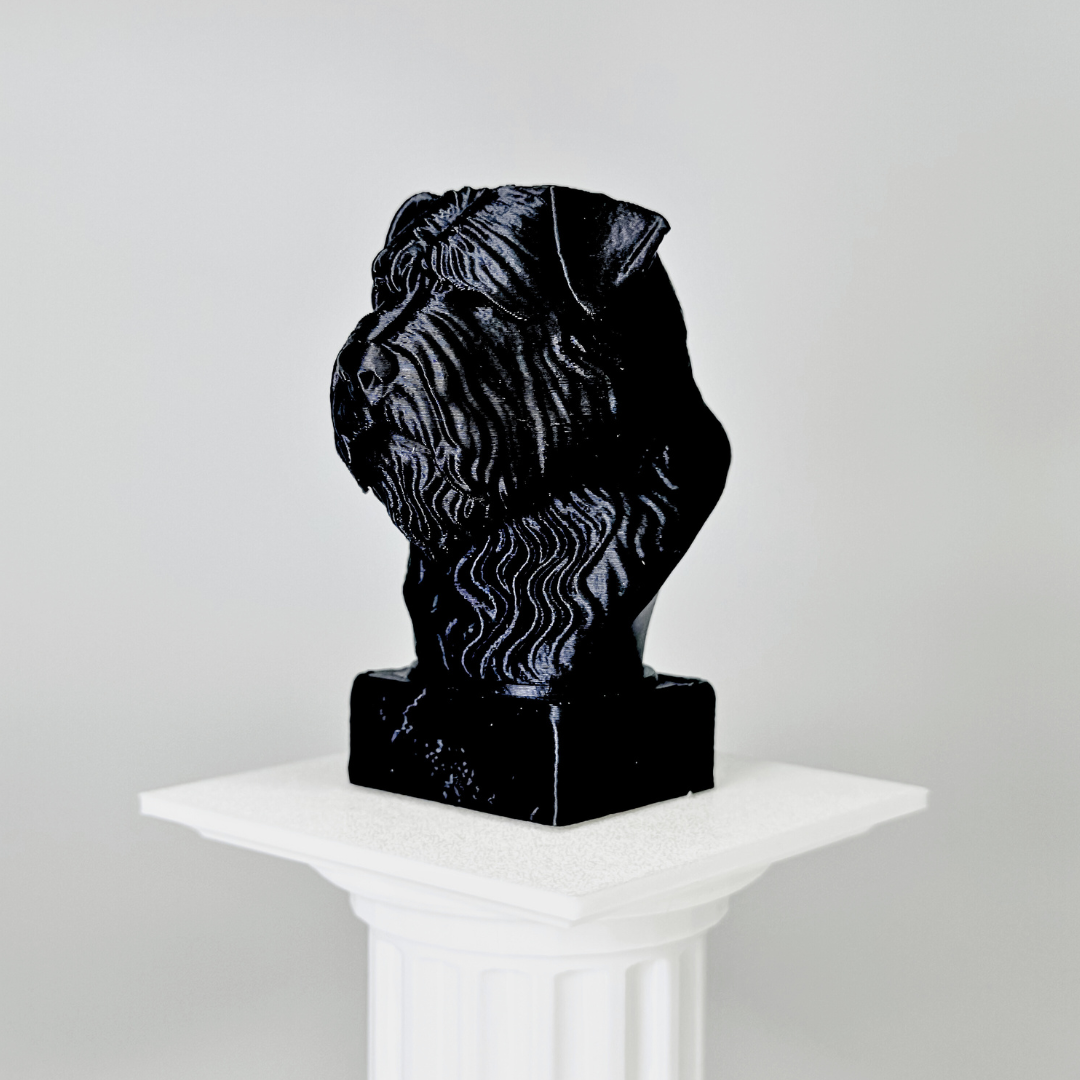 Bouvier Des Flandres Bust Dog