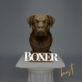 Boxer Bust