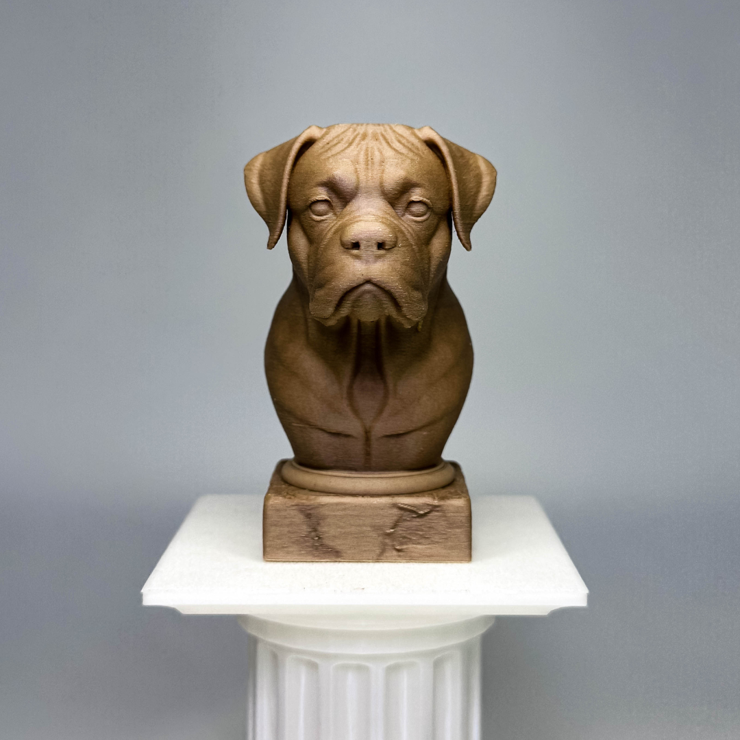 Boxer Bust