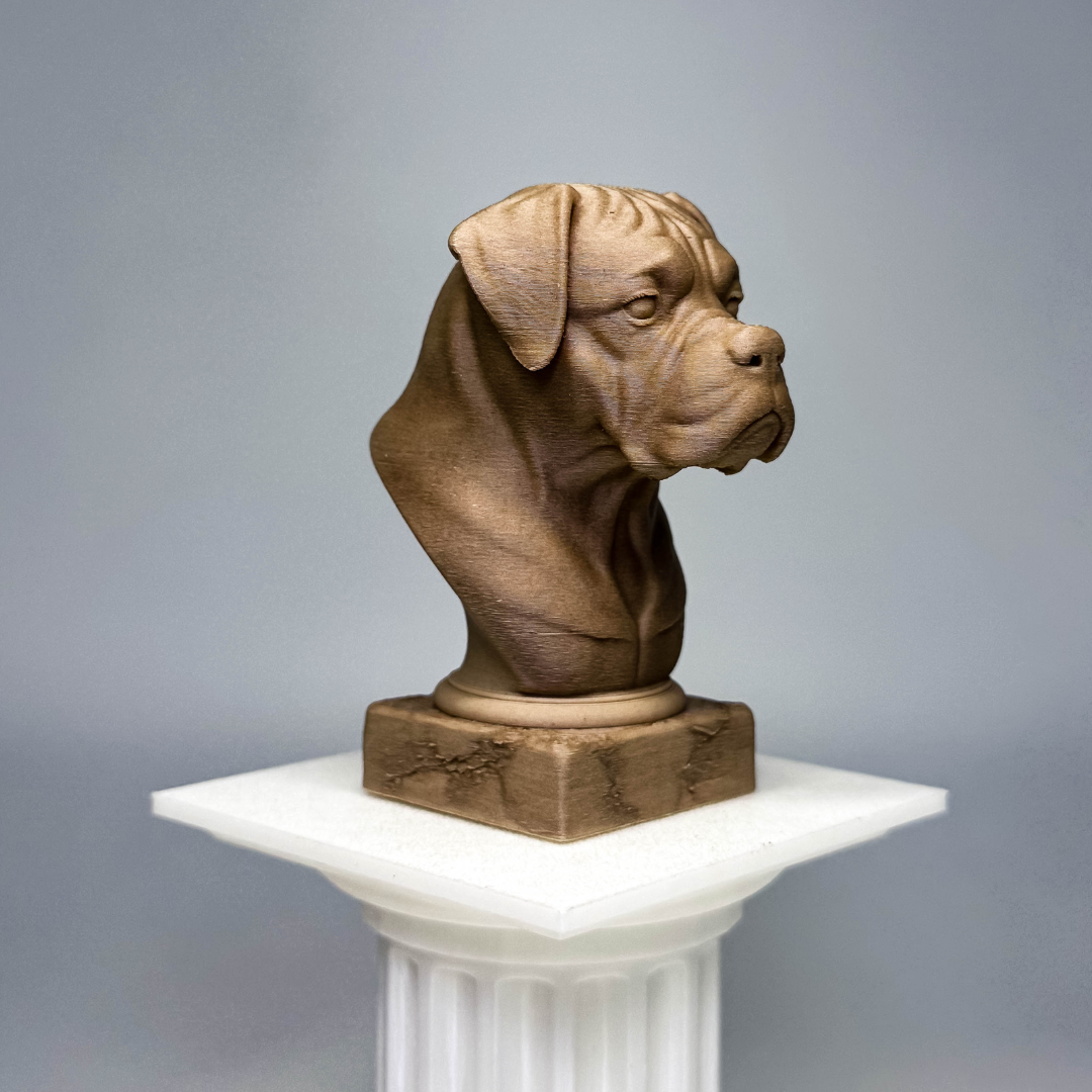 Boxer Bust