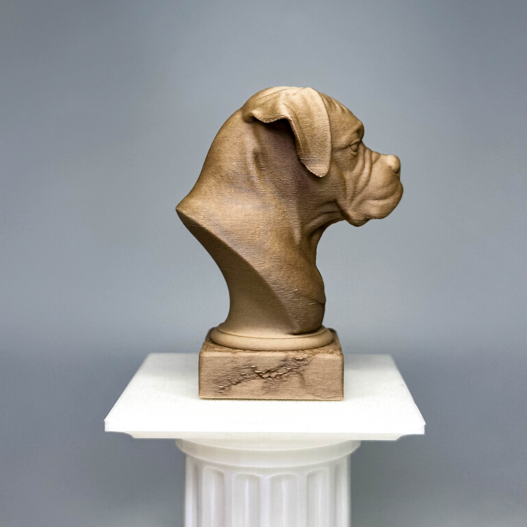 Boxer Bust