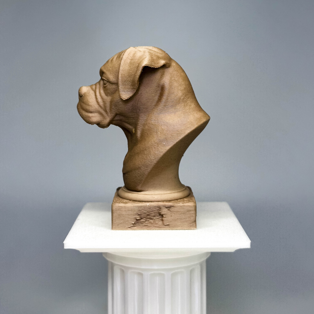 Boxer Bust