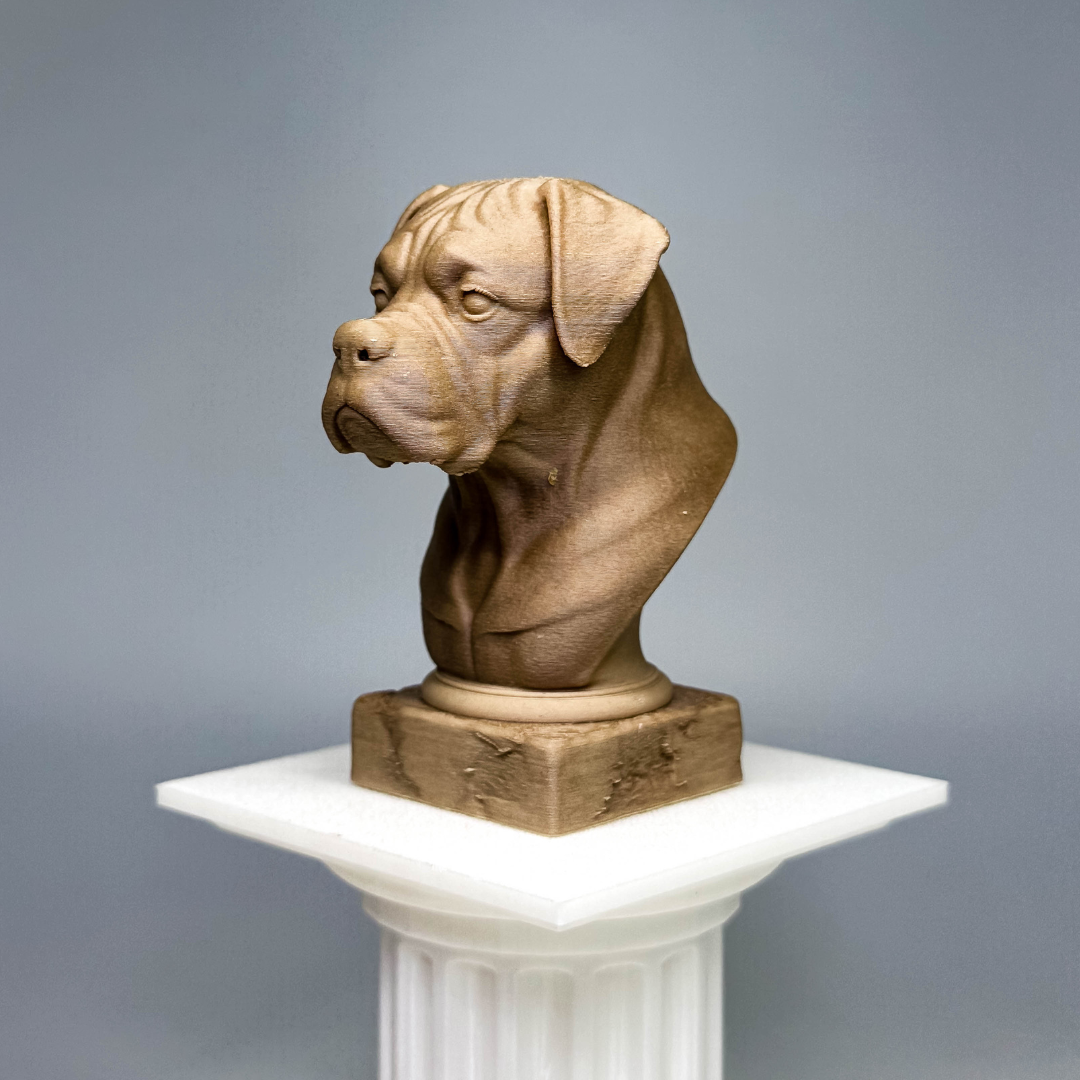 Boxer Bust