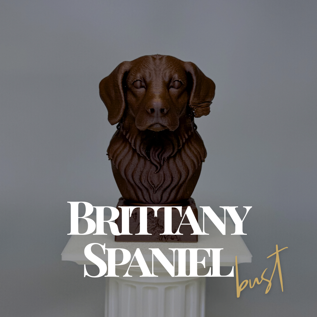 Brittany Spaniel Bust