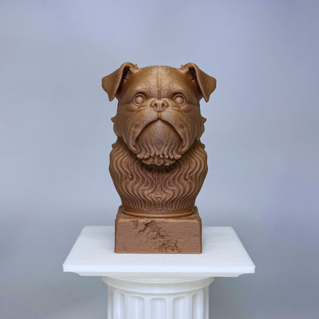 Brussels Griffon Bust