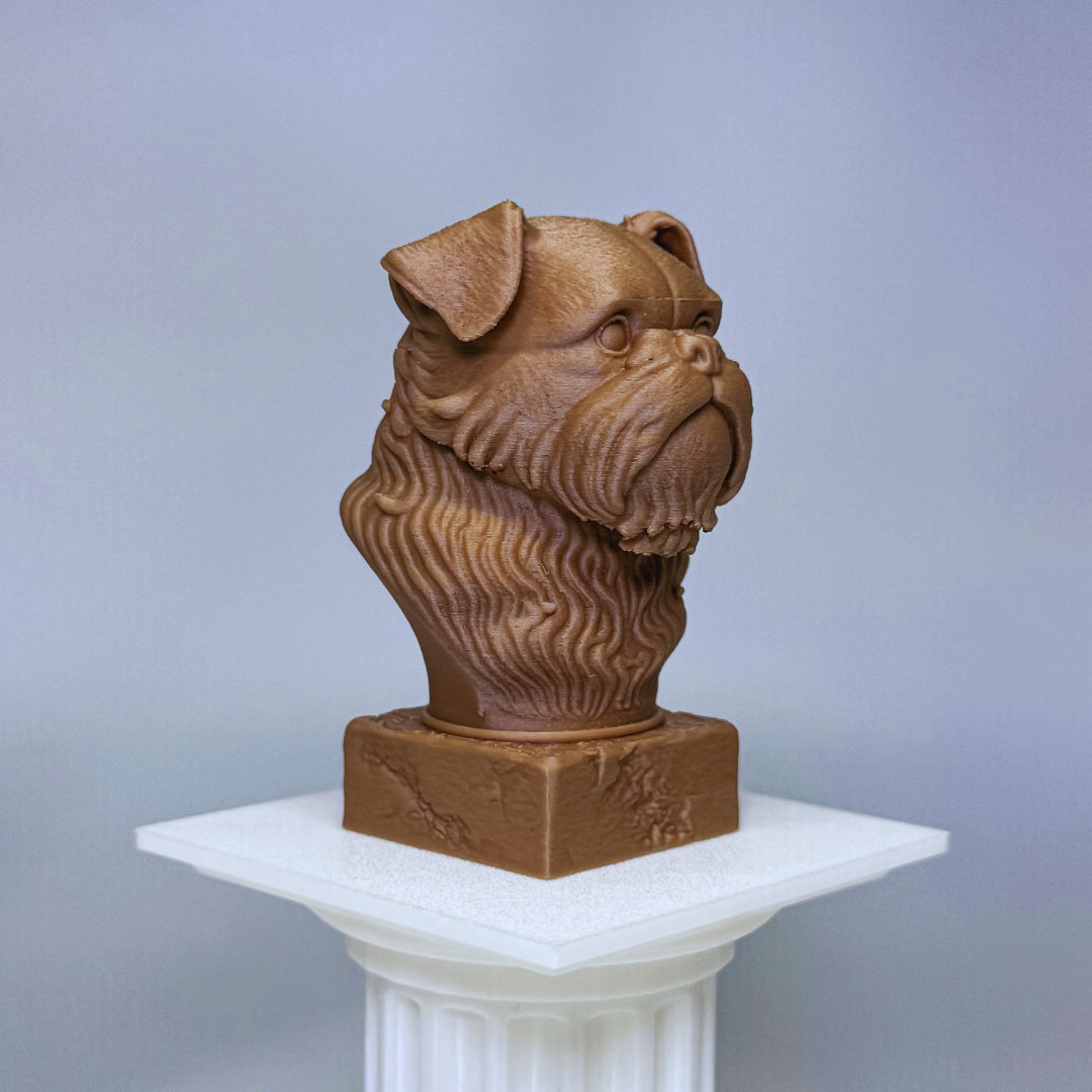 Brussels Griffon Bust