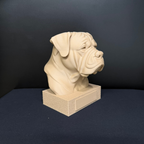 Bullmastiff Bust