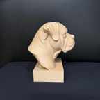 Bullmastiff Bust