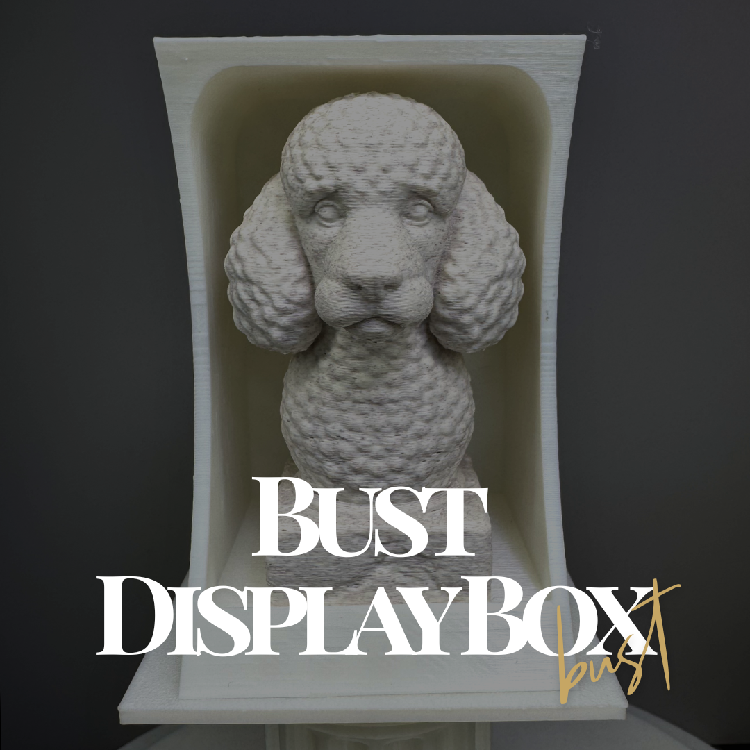 Bust Display Box (8cm Busts Only)