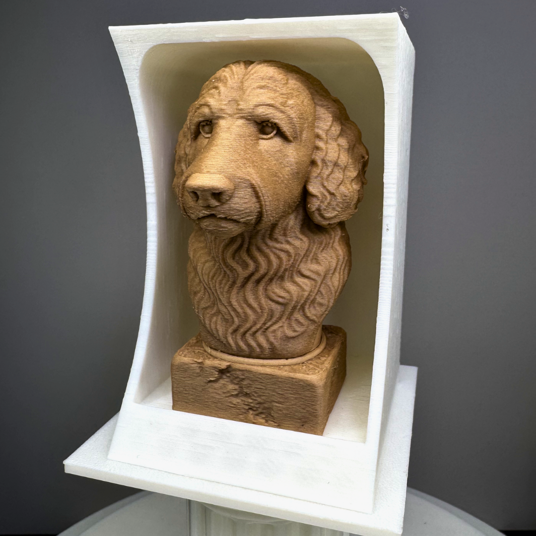 Bust Display Box (8cm Busts Only)