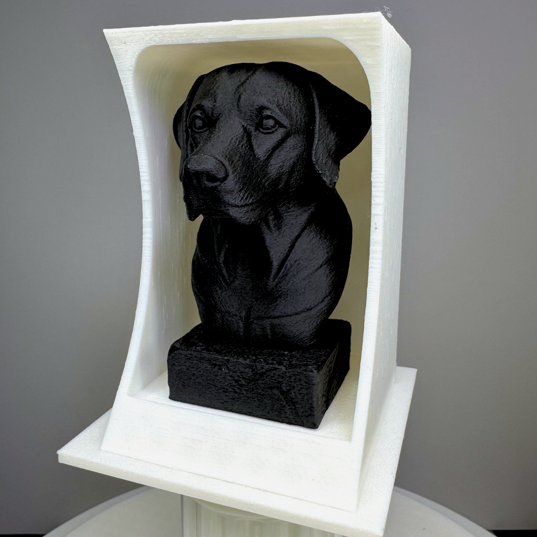 Bust Display Box (8cm Busts Only)