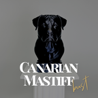 Canarian Mastiff Bust
