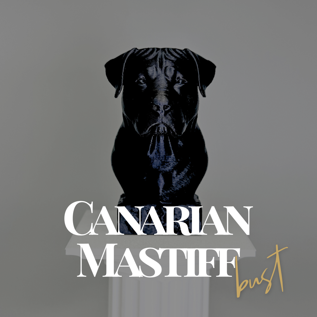 Canarian Mastiff Bust