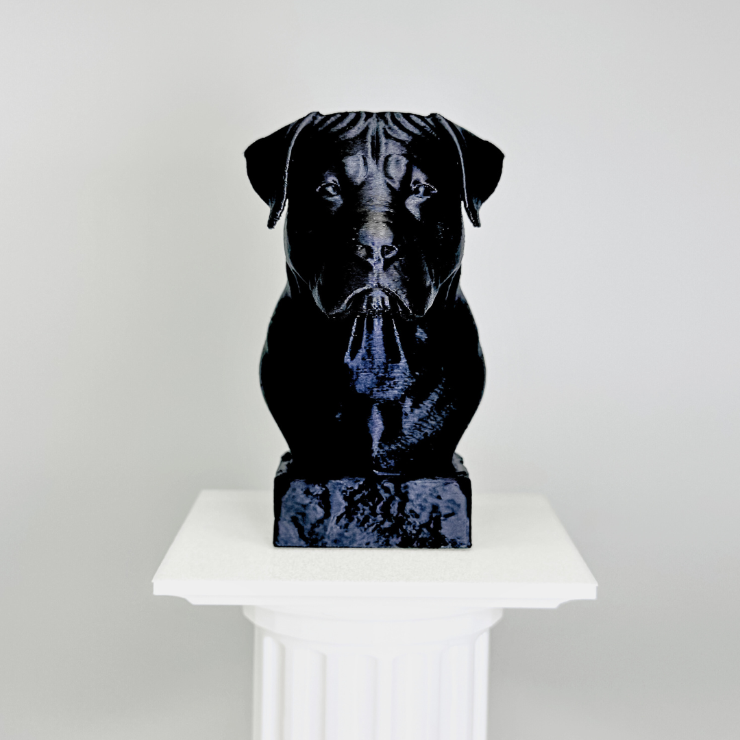 Canarian Mastiff Bust