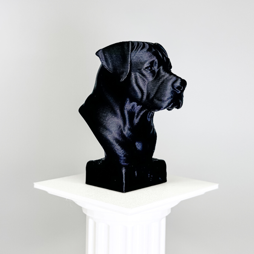 Canarian Mastiff Bust