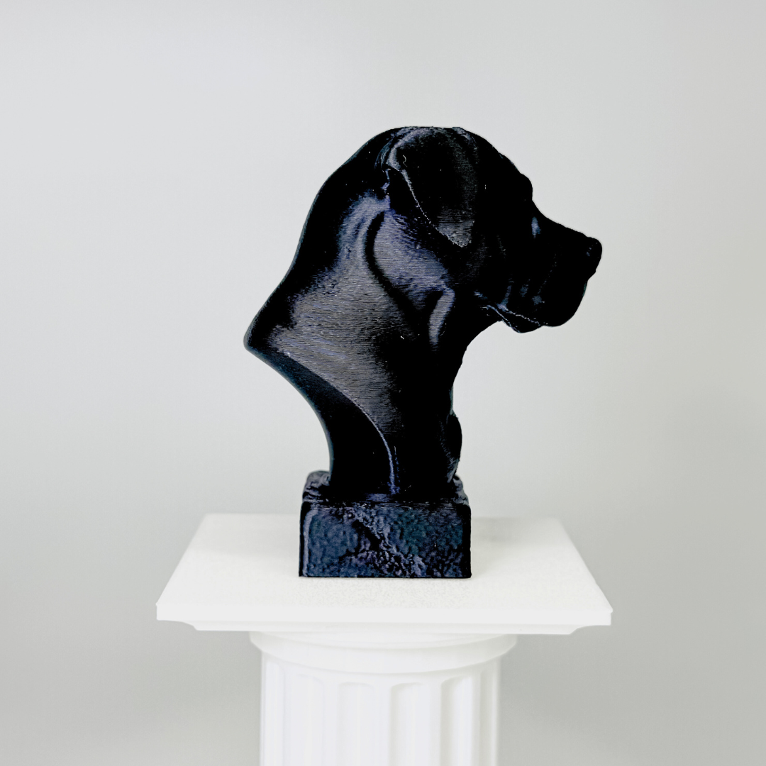 Canarian Mastiff Bust