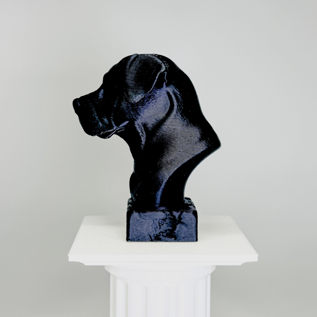 Canarian Mastiff Bust