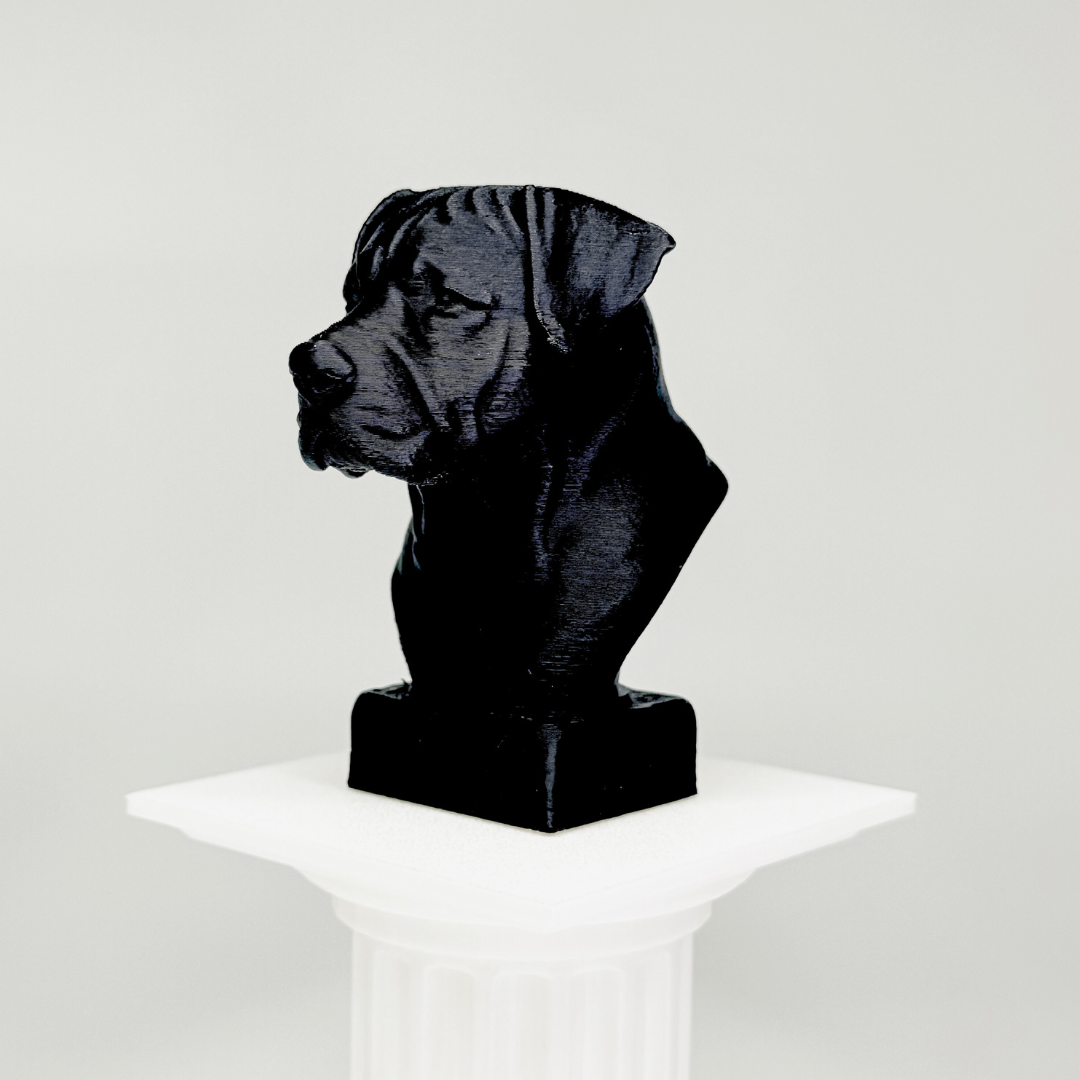 Canarian Mastiff Bust