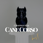 Cane Corso (Cropped Ear) Bust