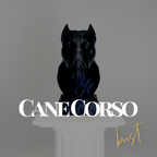 Cane Corso Bust