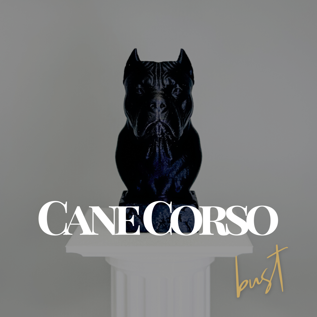 Cane Corso Bust