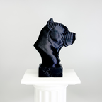 Cane Corso Bust
