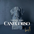 Cane Corso (Natural Ear) Bust
