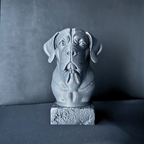 Cane Corso (Natural Ear) Bust